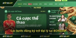 Đại Lý Bongvip | Hướng Dẫn Đăng Ký Tham Gia Làm Đối Tác