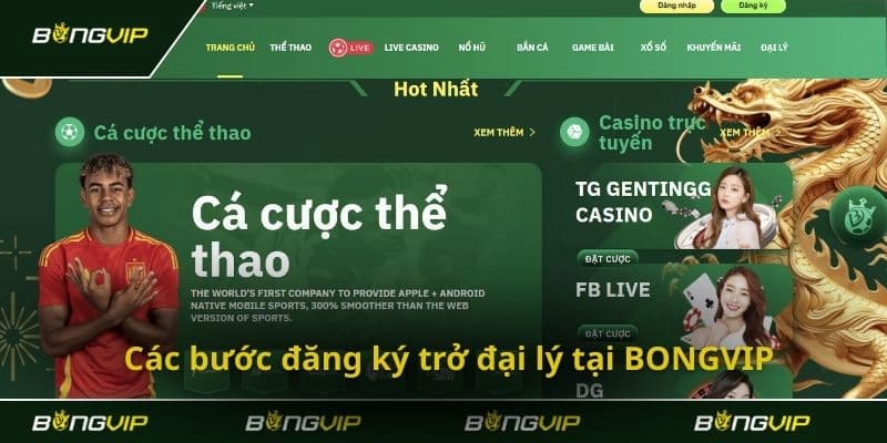 Đại Lý Bongvip | Hướng Dẫn Đăng Ký Tham Gia Làm Đối Tác