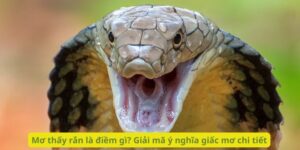 https://drive.google.com/drive/u/0/folders/1r7bh_ZjnOk2zS74ncgPFP3Bsncwh_xXN