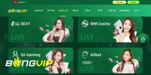 Live casino Bongvip - Chơi game trực tuyến bàn cược đỉnh